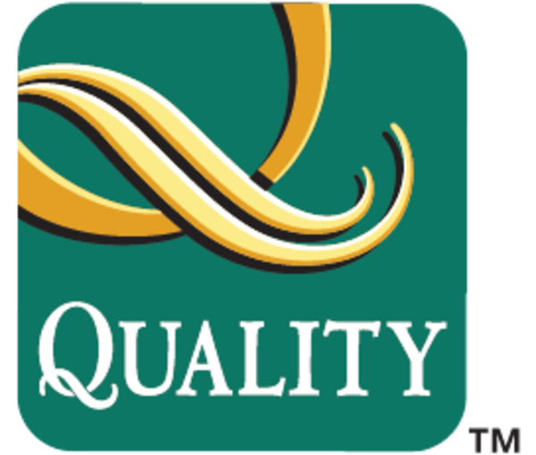 Medium brandpage quality logo